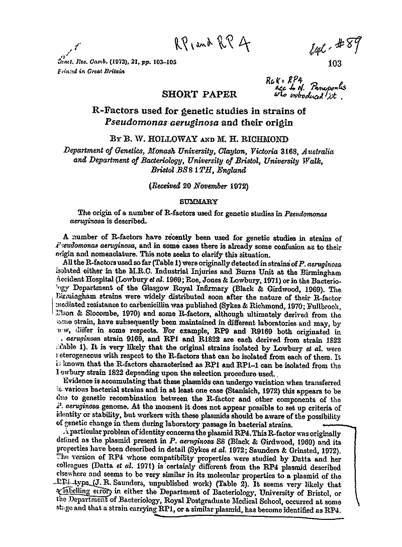 Kornstein 6-13-89 p5